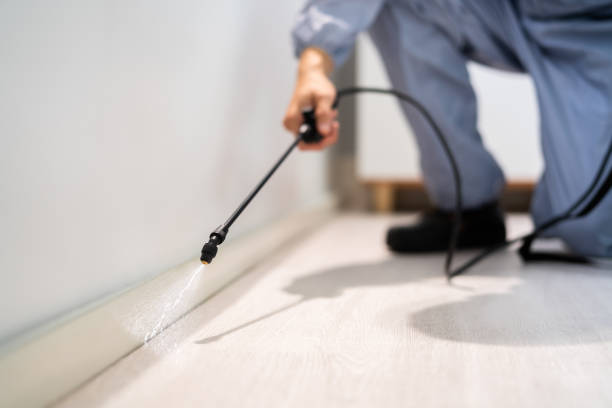 Licensed Termite Control service in Georgiana, AL - Nex Pest Control