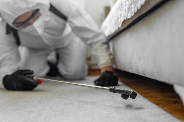 Professional Termite Control technician working in Georgiana, AL