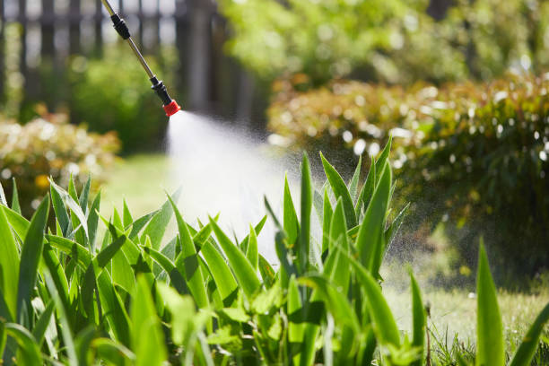 24/7 Emergency Termite Control experts in Georgiana, AL