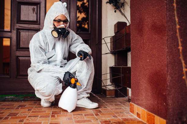 Reliable Termite Control contractor in Georgiana, AL by Nex Pest Control