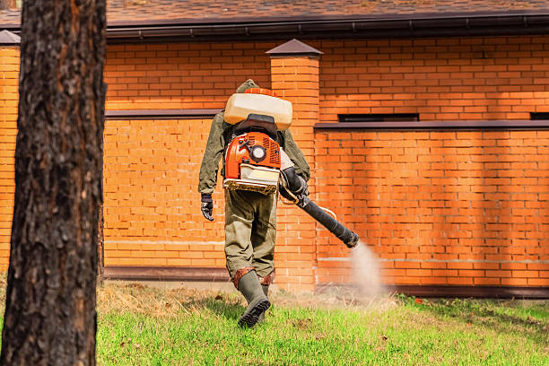 Trusted Ant Control service in Georgiana, AL - Nex Pest Control